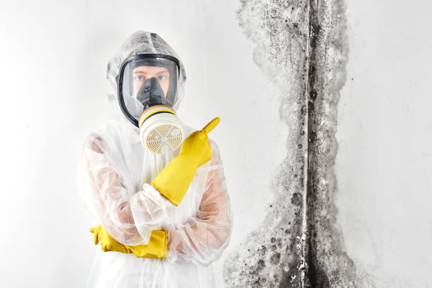 Best Commercial Mold Inspection  in Lakewood, CA