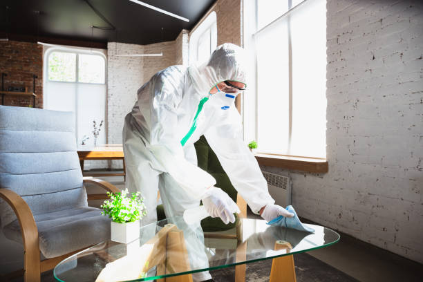 Best Comprehensive Air Testing for Mold Contaminants  in Lakewood, CA